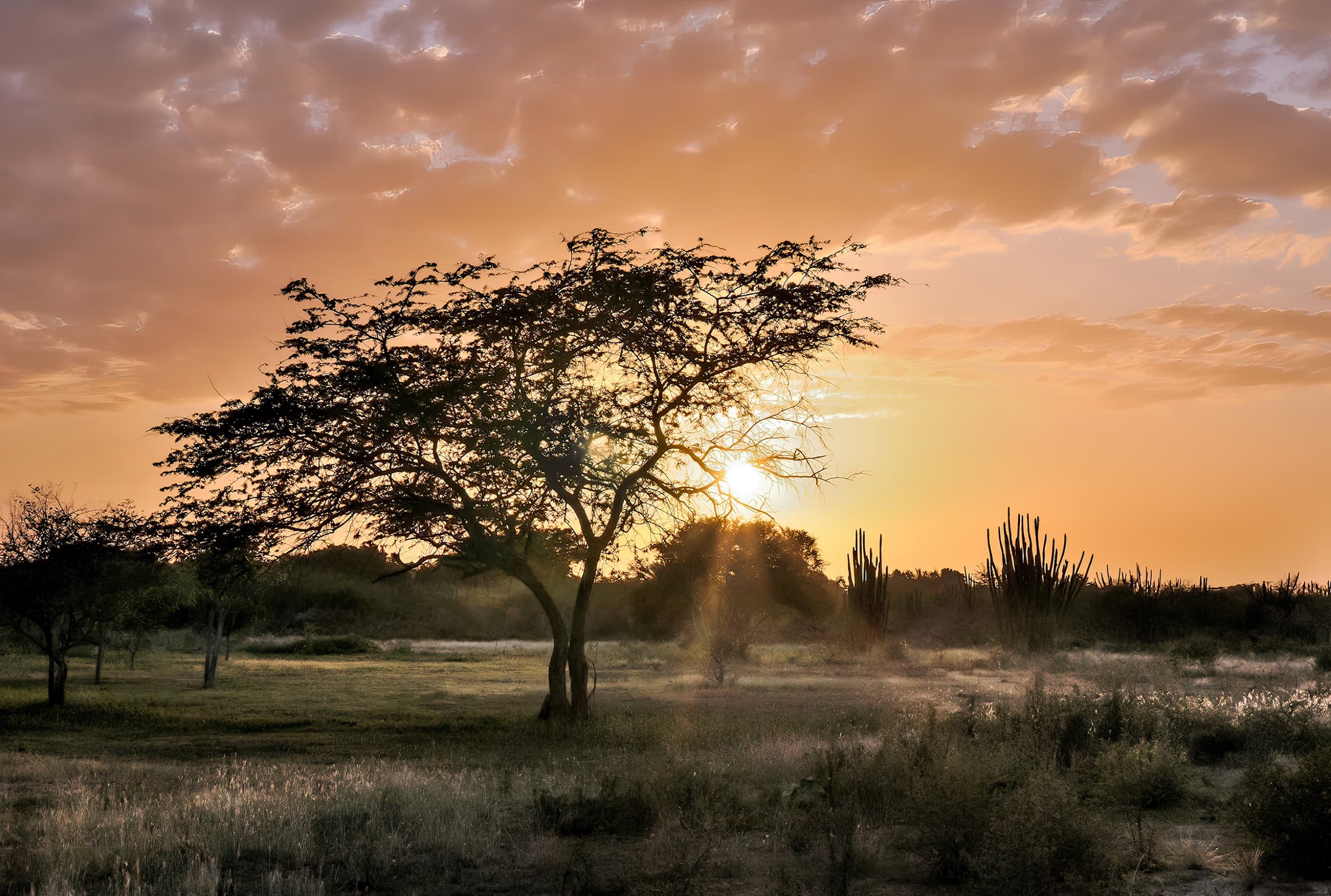 Atardecer en Las Guevaras, Isla de Margarita, Venezuela
